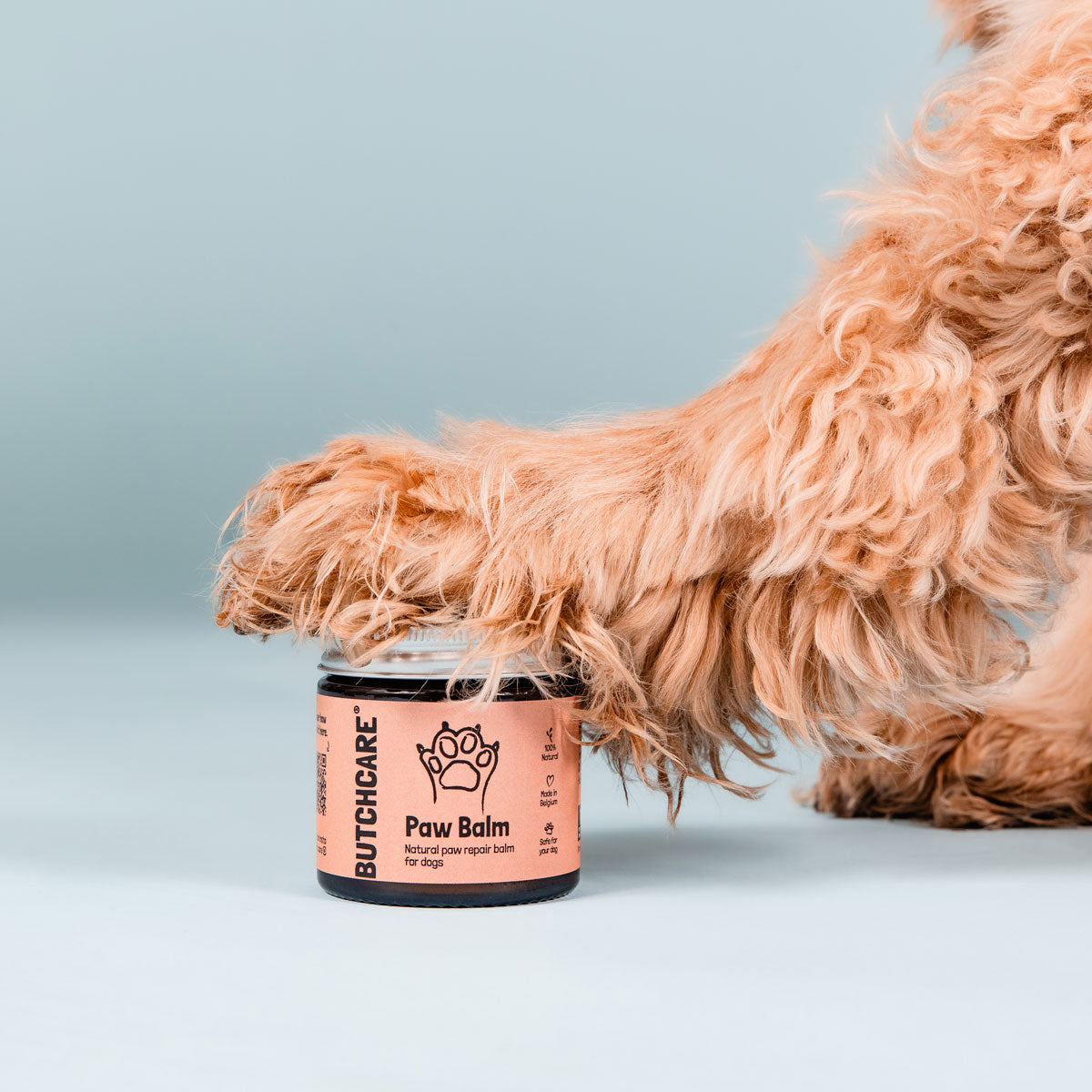 Paw balm