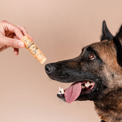 Nose balm stick