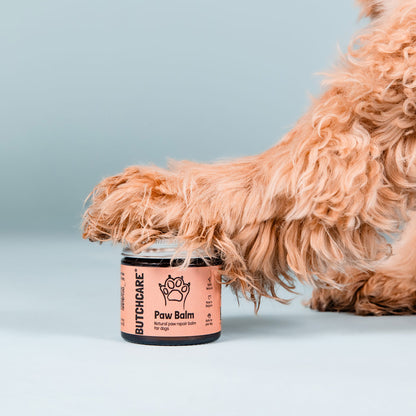 Paw balm
