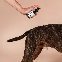 Butchcare_Micellar-Cleanser.webp