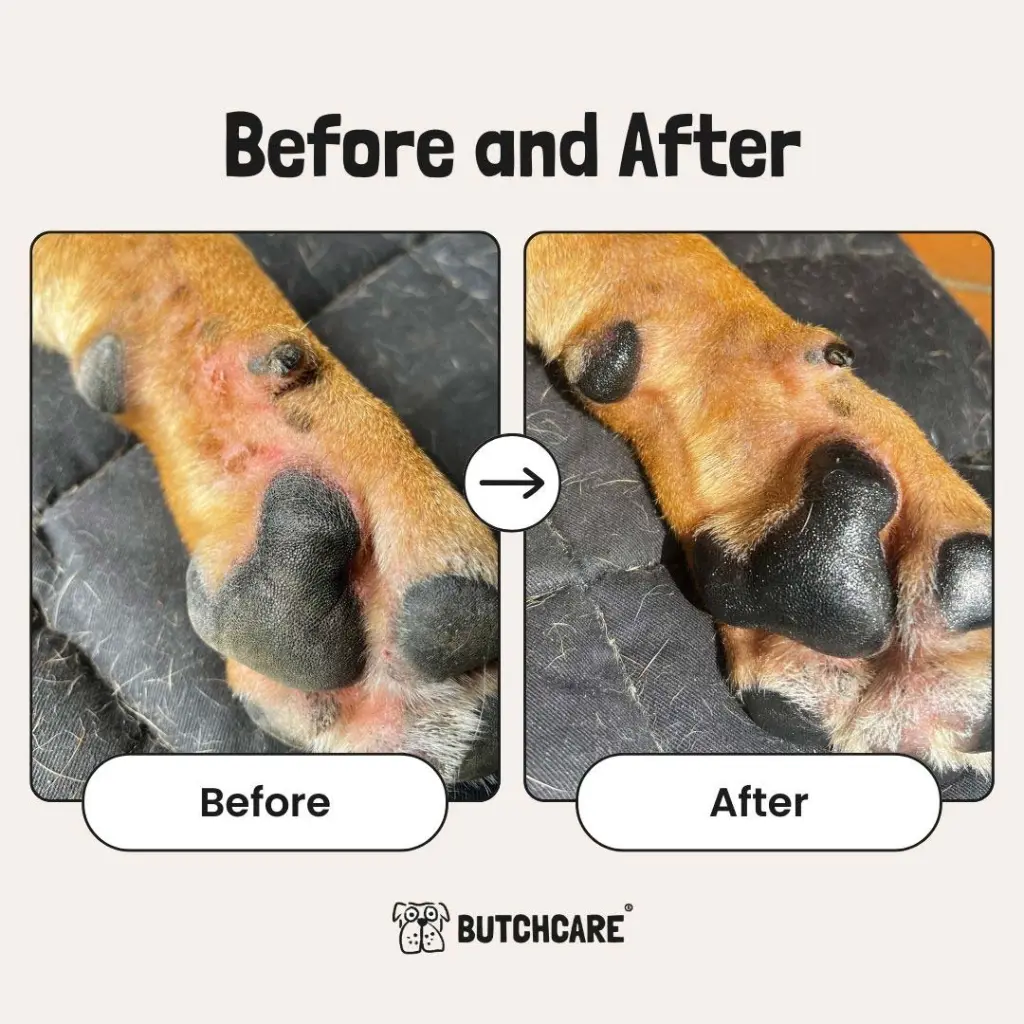 Butchcare_PawBalm_BeforeAndAfter.webp