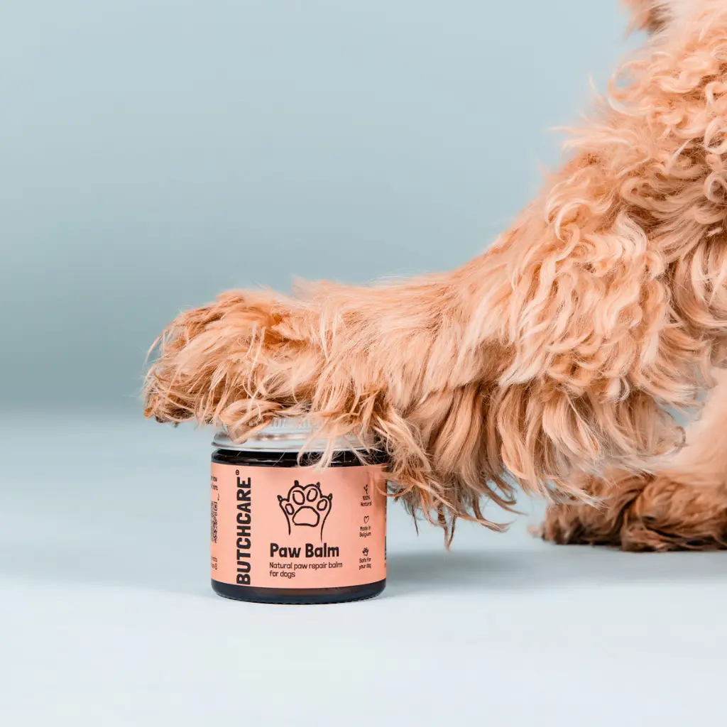 Butchcare_PawBalm_JAR_1.webp