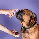 Butchcare_NoseBalm_JAR.webp