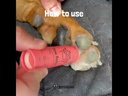 1 Year Pack - 4 Paw Balm Sticks