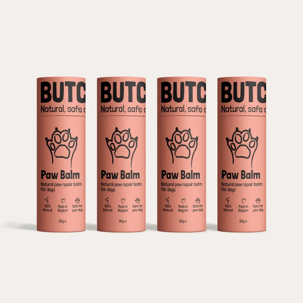 1 Year Pack - 4 Paw Balm Sticks