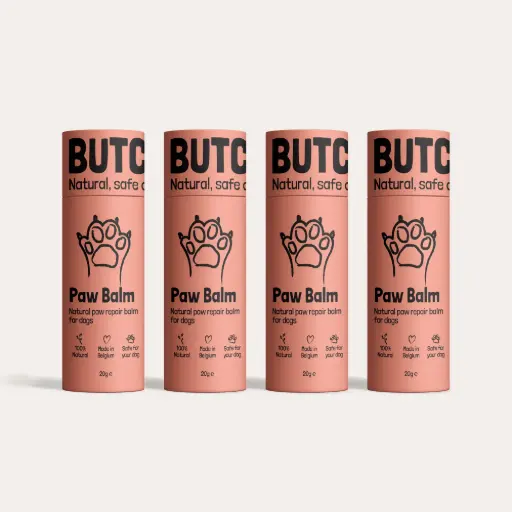 1 Year Pack - 4 Paw Balm Sticks